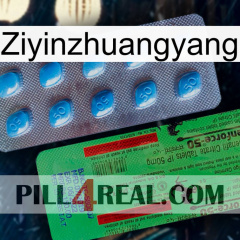Ziyinzhuangyang new03
